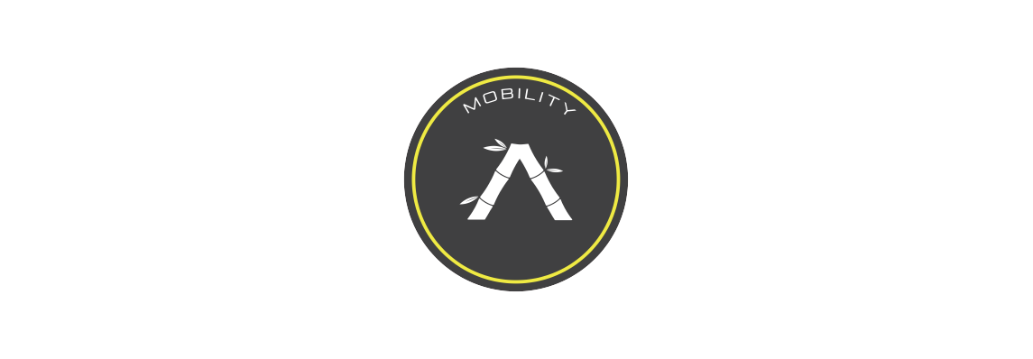 mobility mobility